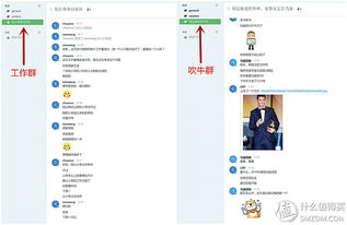 原創新人省小錢辦大事 群暉DS216 II網絡存儲NAS服務器搭建數據中心靠譜嗎？